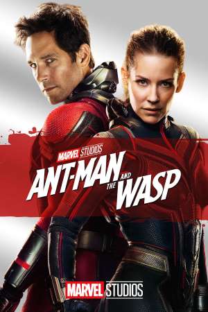 Download Ant-Man and the Wasp (2018) Dual Audio {Hindi-English} Movie 480p | 720p | 1080p | 2160p BluRay ESub