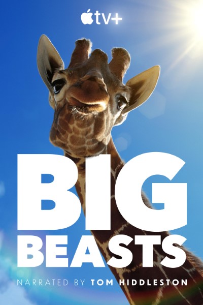 Download Big Beasts (Season 1) [S01E10 Added] English Web Series 720p | 1080p WEB-DL ESub